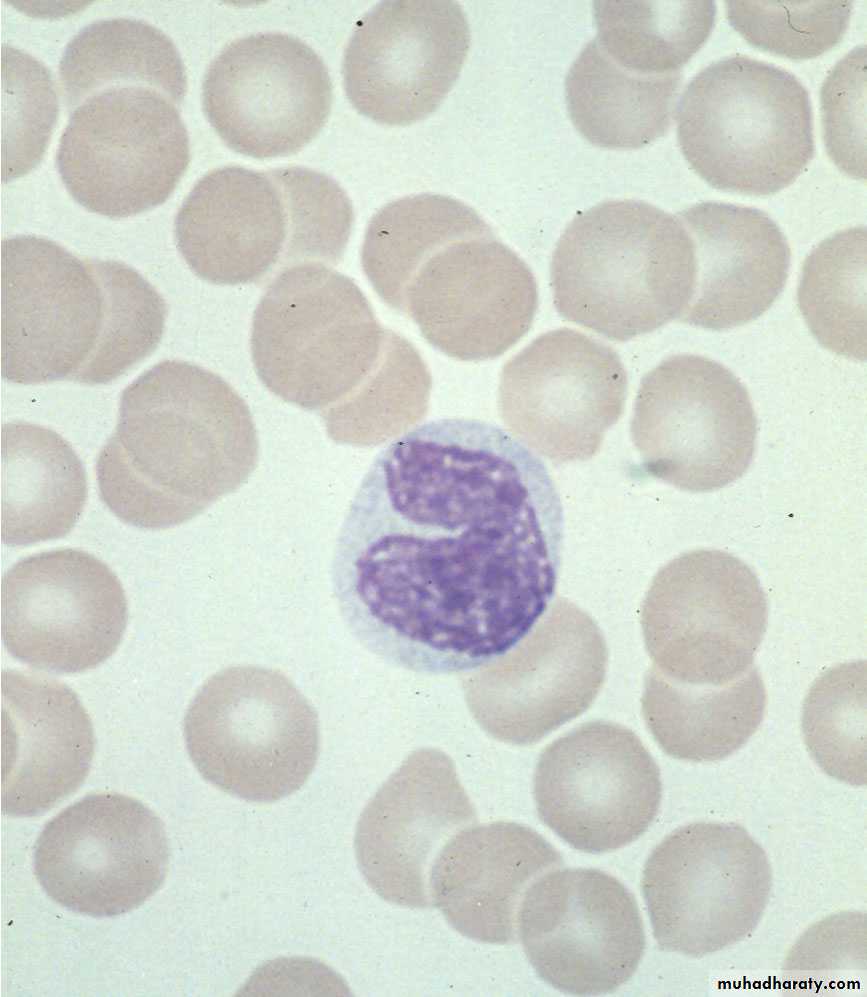 Ganglia