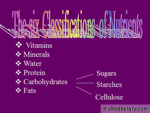 nutrition