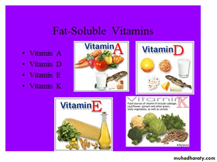nutrition