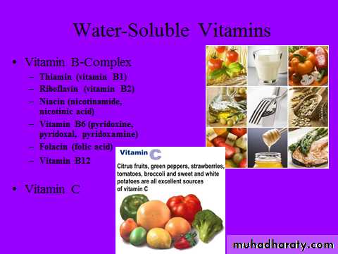 nutrition