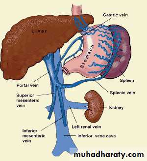 Portal Hypertension