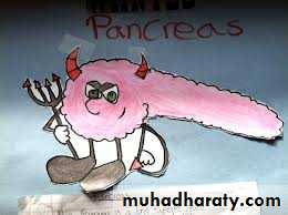 Pancreas 1