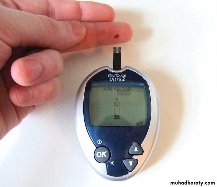 Pancreas 1