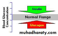 Pancreas 1