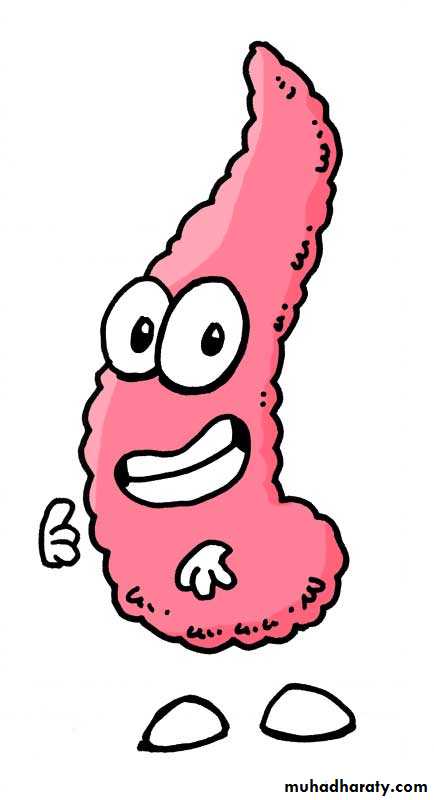 Pancreas 1