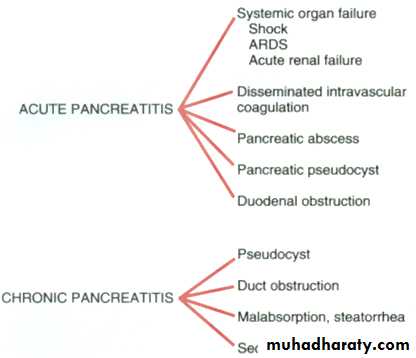 Pancreas 1
