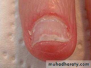 General Examination