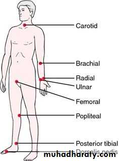 General Examination