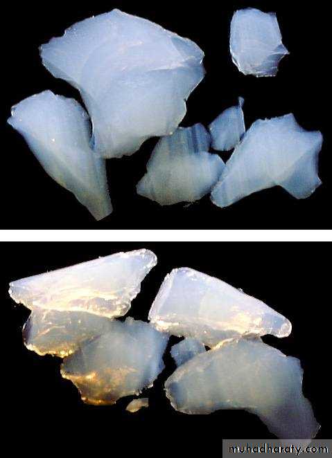 Interstitial Lung Diseae