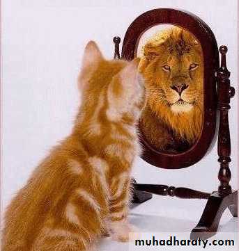 perception