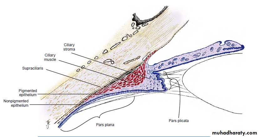 Glaucoma