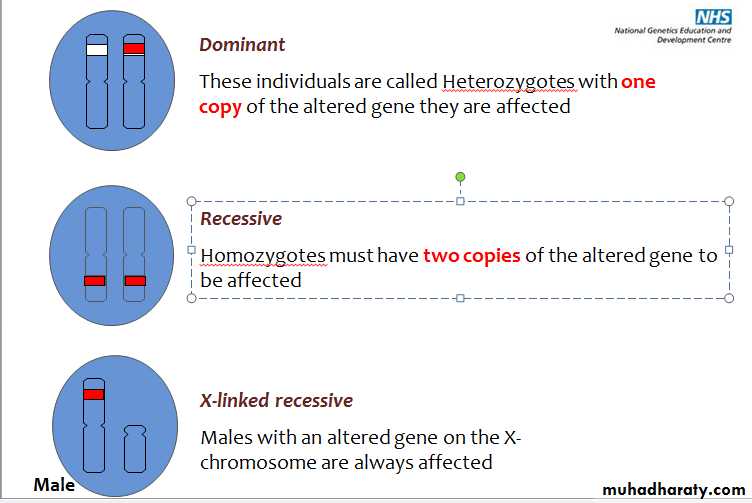 patterns of-inheritance