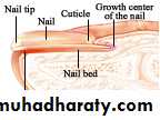 Fungal Infections