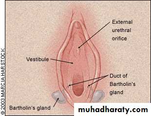Vaginal diseases