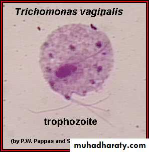 Vaginal diseases