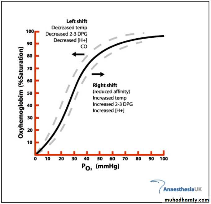 Gas-Transport-pH-in-the-Lung