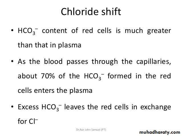 Gas-Transport-pH-in-the-Lung