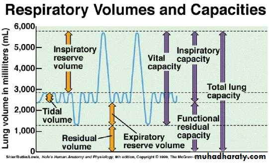 Pulmonary-Function