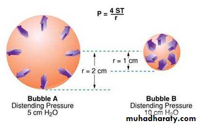 Pulmonary-Function