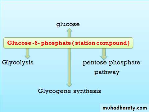 Carbohydrates