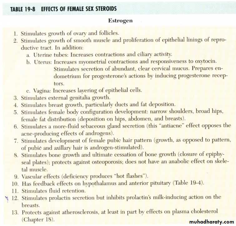 Reproductive system