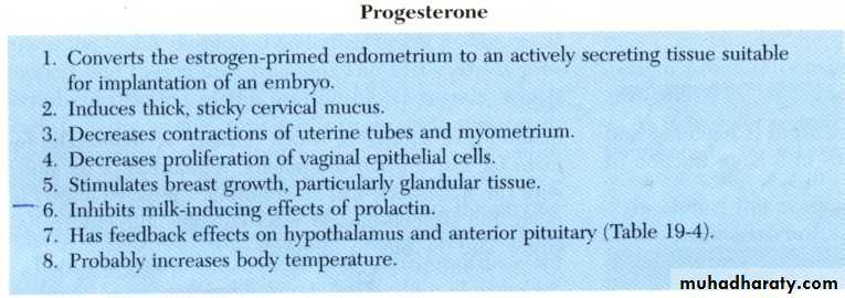Reproductive system