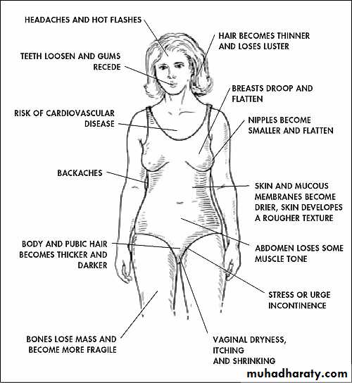 Reproductive system