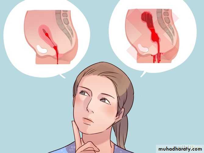 Menstruation