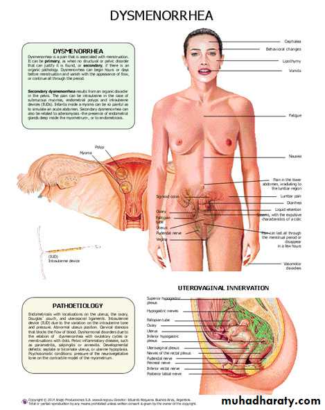 Menstruation