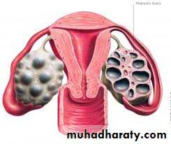 Menstruation