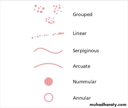 Diagnosis of skin disorders