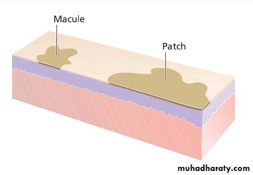 Diagnosis of skin disorders