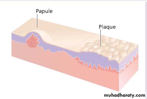 Diagnosis of skin disorders