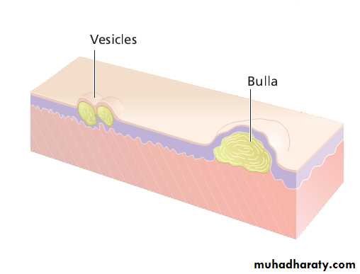 Diagnosis of skin disorders