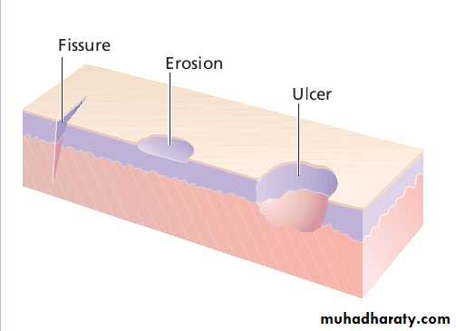 Diagnosis of skin disorders