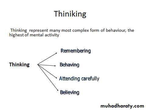 Thinking