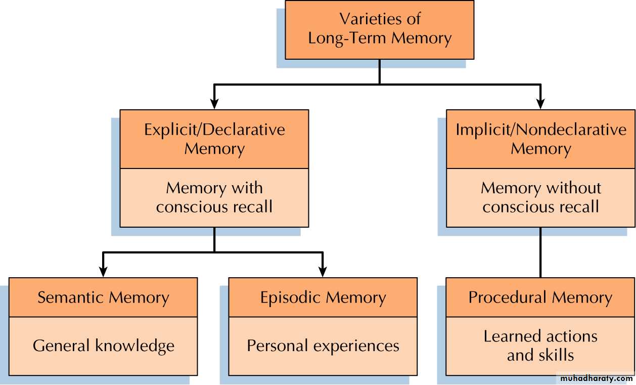 memory