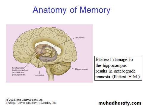 memory