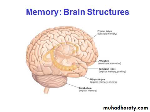 memory