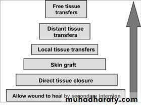 Basic principles in plastic surgery