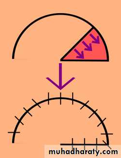 Basic principles in plastic surgery