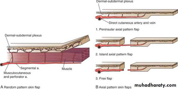 Basic principles in plastic surgery