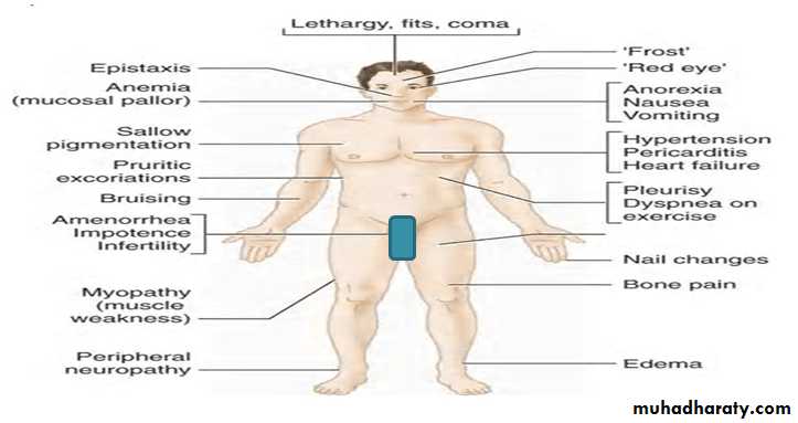 approach to renal disease