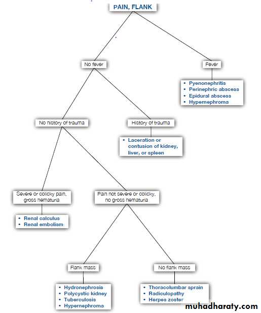 approach to renal disease