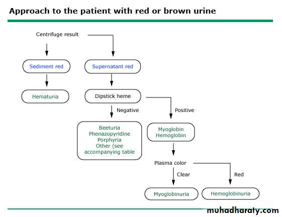 approach to renal disease