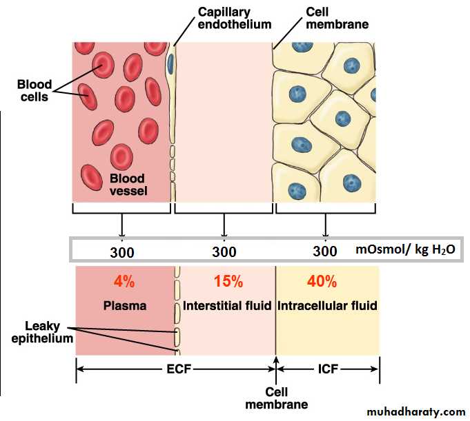 Cell physiology
