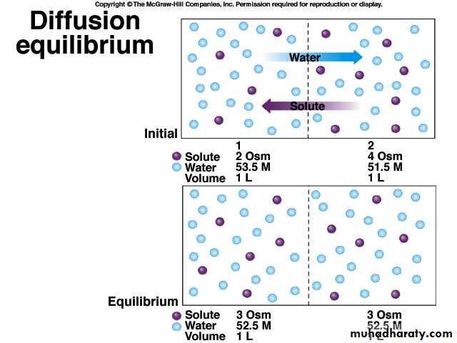 Cell physiology