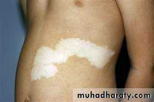 skin appendages