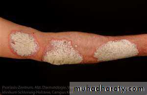 skin appendages