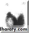 Thyroid gland